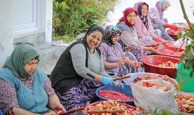 aliaganin dogal citak nar eksisinin sofralara uzanan oykusu K48jrbSm