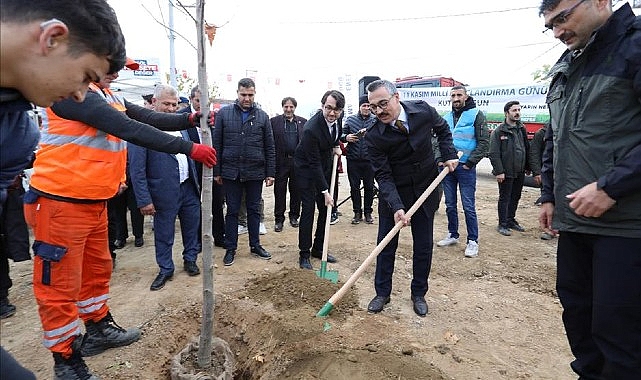 inegolde fidanlar toprakla bulustu e71zrQXU