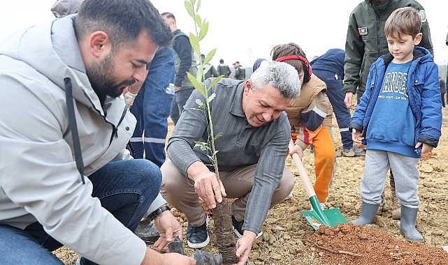 kandirada 1500 defne fidani toprakla bulustu Am3JauNB