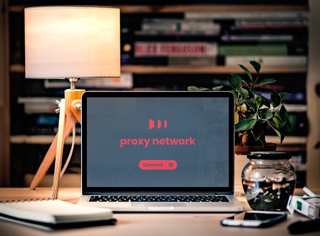 Proxy ile Engelli Web Sitelerine Erişim Sağlama Yolları