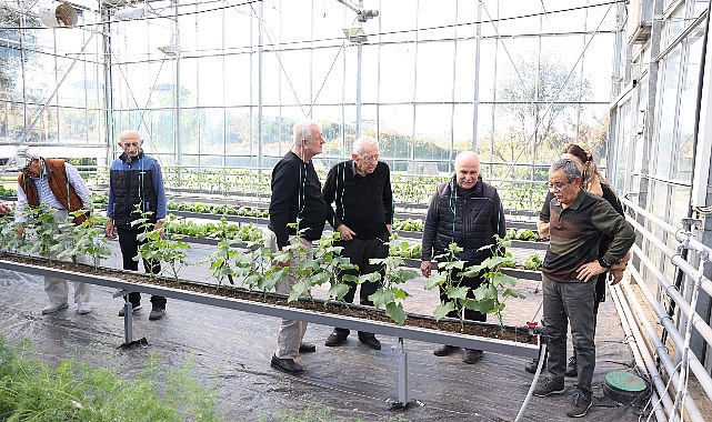 alzheimer hastalarinin umut evi mavi ev