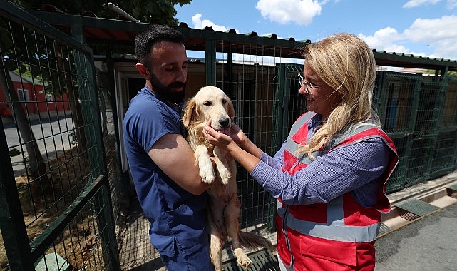 bakirkoy belediyesi veteriner isleri mudurlugu hayvanlarin yaninda