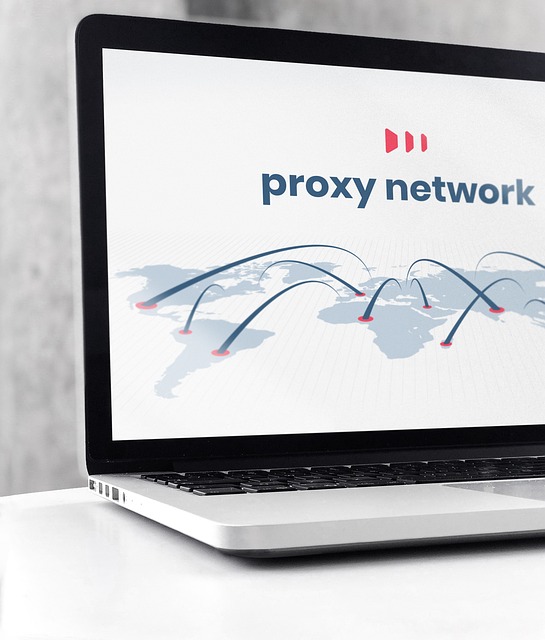 Proxy Kullanarak Google My Business Optimizasyonu Yapma